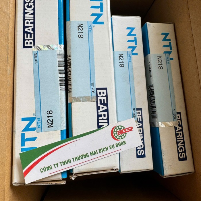 Bạc đạn NTN N218